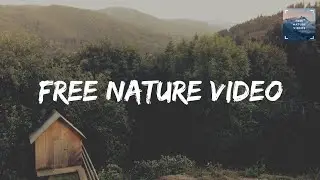 Forest path 2022 | Trail Magic 2022 | For YouTube 2022 | Free Nature Videos