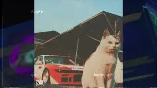 [FREE] CHILL PHONK TYPE BEAT 
