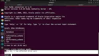 python/django + backend mysql + container docker