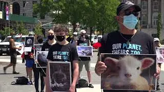 National Animal Rights Day Ceremony mourning animals exploited by humans