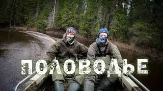 В половодье по лесной реке/ Неман 1 на TOHATSU 9.8 4T