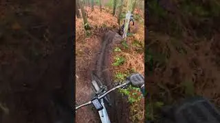Slippy Stainburn