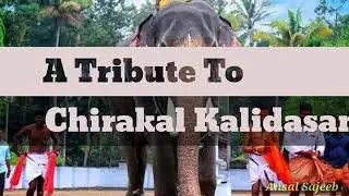 Aa. kombanana ee kombanan (chirakal kalidasaan elephat song)