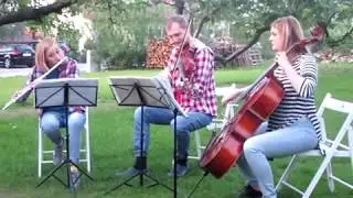 Zesp&oacute;ł Muzyczny Szczecin - Trio Con Fetti - 