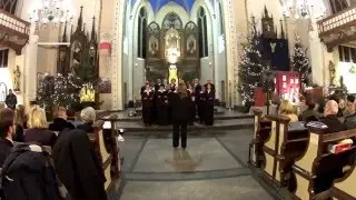 Koncert Kolęd par. pw. św. Piotra i Pawła w Świętochłowicach/Chór SERAF
