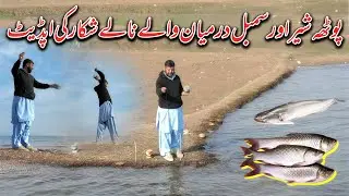 Potha Sher Aur Simbal Darmiyan Wale Nale Shikar Ki Update | Mangla Dam Fishing