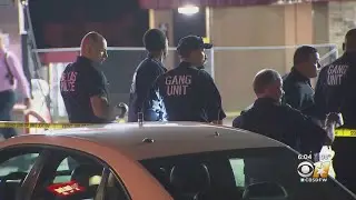Dallas Police Gang Unit Commander Talks To CBS 11