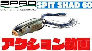 スプロ ブロンズアイ スピット シャッド 60アクション動画 Bronzeye Spit Shad 60