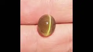 Cat's eye apatite, 6.91 ct