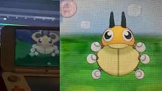 В Pok&eacute;mon X (Live) появился блестящий Ледыба после 4254 случайных встреч.