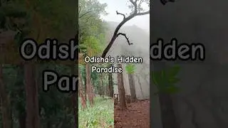 This Is SIMLIPAL! Odisha&rsquo;s Most Underrated Forest 😍🔥 #ridebiterepeat