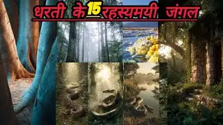 इन जंगलों में घुसने वाला ज़िंदा नहीं लौटा 😱 | 15 Forbidden Forests