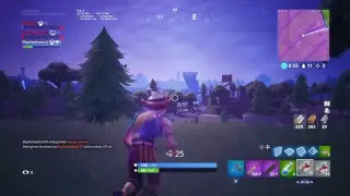 Warpaint and Rose Team Leader  Duos LIVESTREAM!!!!