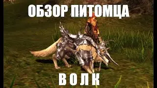 Обзор питомца - Волк. Lineage 2 Essence Fluffy Reinforcement