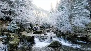 Winter Nature Sounds | Forest Stream & Gentle Waterfalls