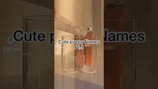 🍁Cute Puppy Names🍁