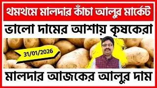 31/01/2026 : মালদার আটমাইলের আজকের নতুন আলুর দাম | Potato Price in Malda - India Potato News