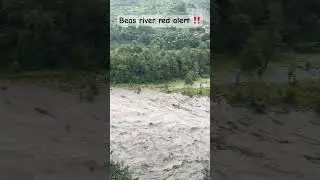 Beas river red alert ‼️ today 2/8/25 #beasriver #flood #cloudburst #redalert #viralshort #memes