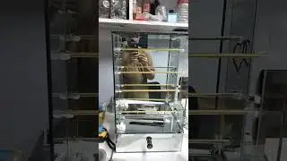 The Art of Bangles: A Glass Showcase