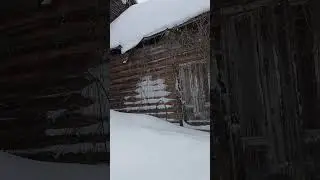 Количество снега, выпавшего в Подмосковье, превосходит все разумные пределы.