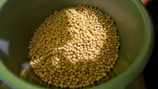membuat susu kedelai