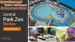 Kebun Binatang Central Park Zoo Medan || Ada Aquarium Lautnya