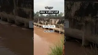 Ghaggar River Chandpura Syphon #ghaggarriver #flood #punjabfloods #floodalert #floodnews #shorts