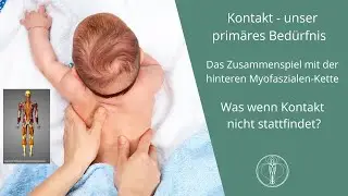 Holistic Bodywork - Hintere Myofasziale Kette