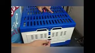 Taiwan Training Box For Racing Pigeon