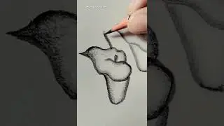 Flower pot Draw with HB/2 pencil #pencil #sketch #art #drawing