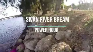 Swan River Bream - Power Hour on Soft Plastics