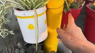 Waste Material से बनाया Tower Stand #viralvideo #trending #houseplants #garden #diy 