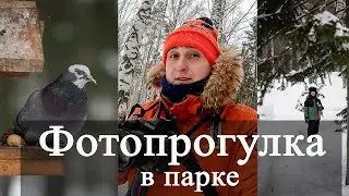 Фотопрогулка в зимнем парке. Фотографирую на Nikon D850 85mm 1.8G. Зимний Лагерный сад. Томск