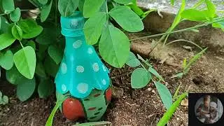 Waste Bottle 🧚&zwj;♀️Fairy House 🏡Garden Decor #wastetouse #gardendecor #easycraft