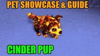 WoW Cinder Pup - Pet Showcase and Guide