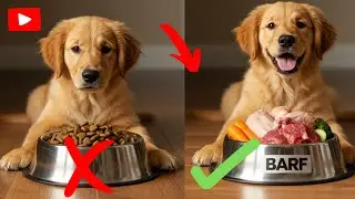 BARF for Puppies: The Complete Guide to Healthy Growth, Strong Bones, and Armored Immunity