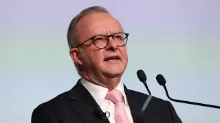 Albanese urged to &lsquo;speak up&rsquo; on rising antisemitism in Australia