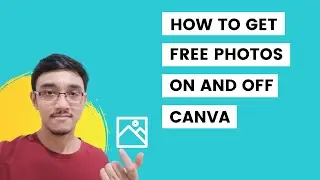 How to Use Canva and Get Amazing Photos for Free (Canva Tutorial for Beginners)