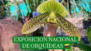 EXPOSICIÓN NACIONAL DE ORQUÍDEAS-Buga 🇨🇴