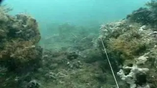 Arqueolog&iacute;a Subacu&aacute;tica, 
