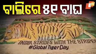Sudarsan Pattnaik Creates Grand Sand Tiger Art at Puri Beach on World Tiger Day