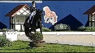 Therese Nilshagen - Dante Weltino OLD - GPS Hagen - door Eline Korving - Equestrian Communication