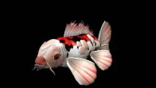Realistic Koi Fish-(Spore Creature Creator Video)