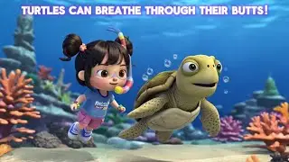 Turtles Can Breathe Through Their Butts! 🐢💨 | Fun Science for Kids | #kingsleysmartkids 