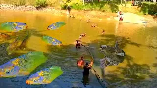 fish hunting festival/taken huge fishes/primitive fishing/primitive cooking/village cooking