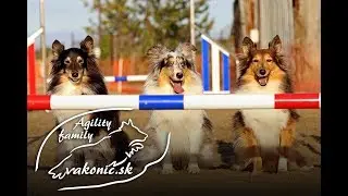 Vakonic Agility Family - training ground