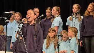 Tich&aacute; noc, Orchestr Karla Vlacha 