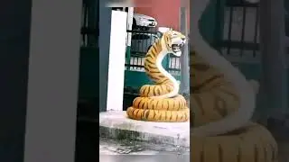 tiger made in Nepal 😂