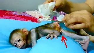 Daily Duty For Mom ! Cleaning diaper little adorable Dody keep silence easy for mom clean up diaper