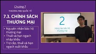Kinh tế vi mô 1 - Chương 7 - 7.3. Chính sách thương mại